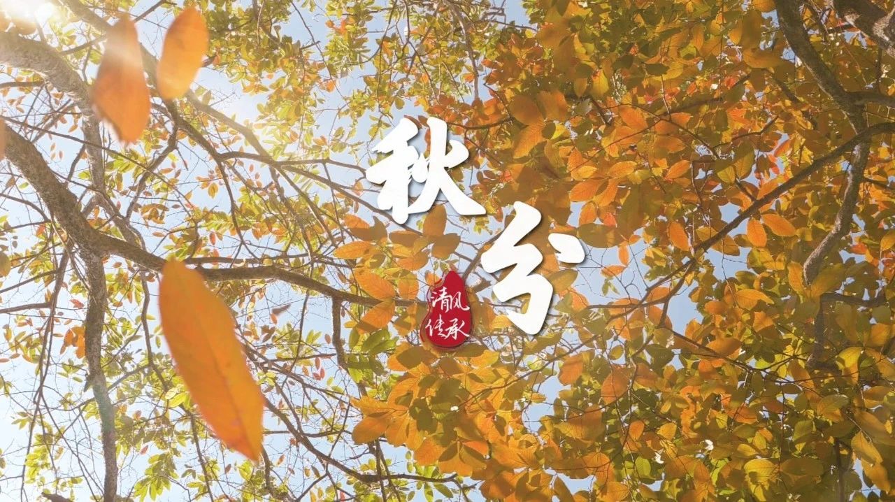 清風·傳承丨秋分：又是一年好“豐”景